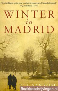 Winter in Madrid