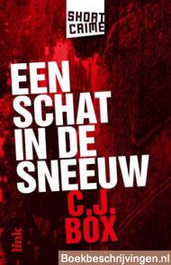 Een schat in de sneeuw