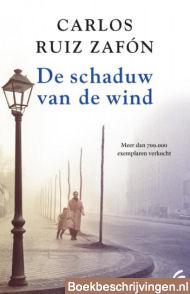 De schaduw van de wind