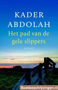 Het pad van de gele slippers