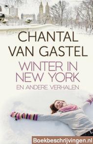 Winter in New York en andere verhalen