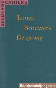 De sprong