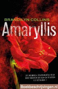 Amaryllis