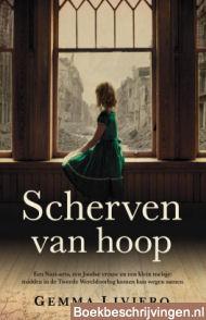 Scherven van hoop