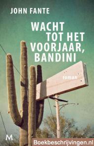 Wacht tot het voorjaar, Bandini