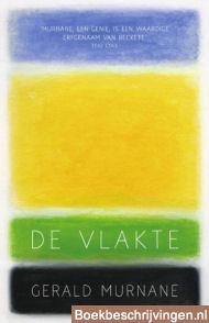 De vlakte