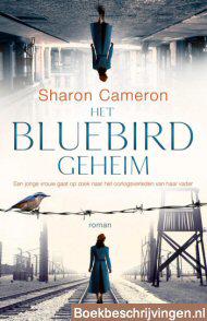 Het Bluebird geheim