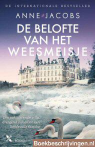 De belofte van het weesmeisje