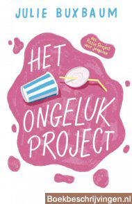 Het ongeluk project