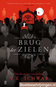 Brug der zielen