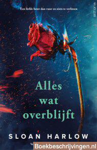 Alles wat overblijft