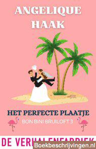 Het perfecte plaatje