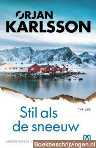 Stil als de sneeuw