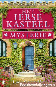 Het Ierse kasteelmysterie