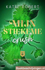 Mijn stiekeme crush
