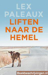 Liften naar de hemel