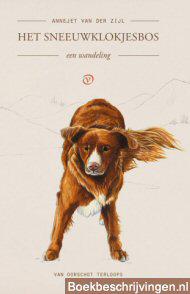 Het sneeuwklokjesbos