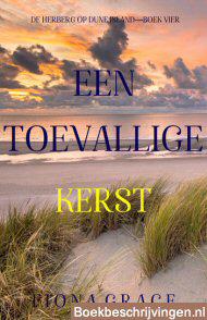 Een toevallige kerst