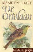 De ortolaan