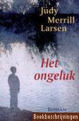 Het ongeluk